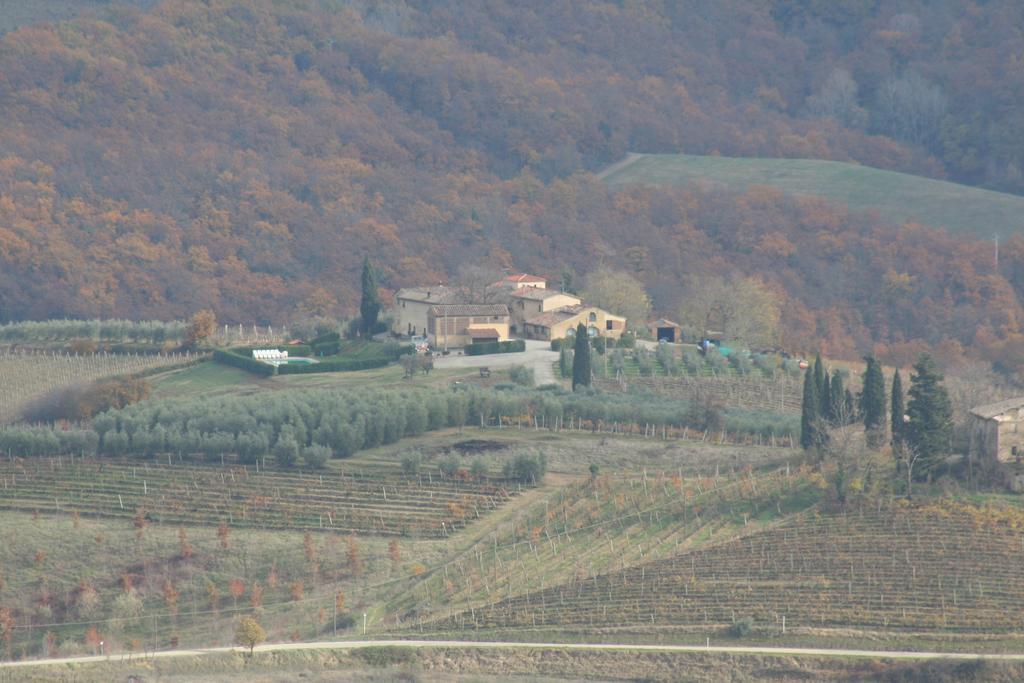 Agriturismo Torre Prima Holidays San Gimignano Exterior photo