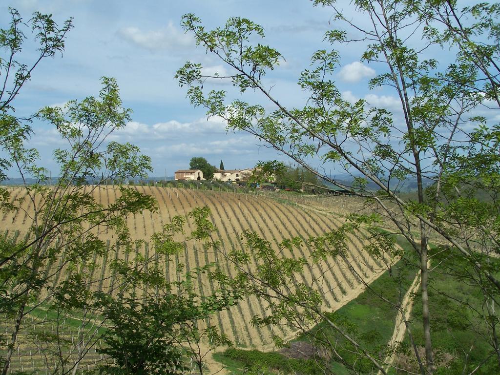 Agriturismo Torre Prima Holidays San Gimignano Exterior photo